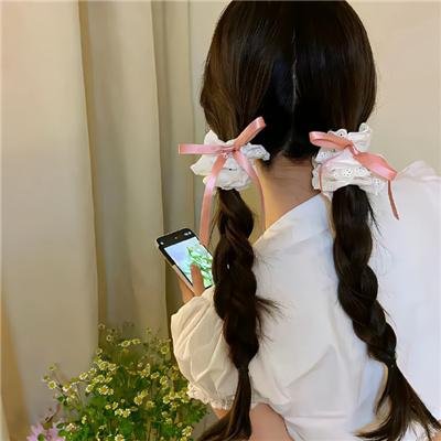 黑狐：希特勒
